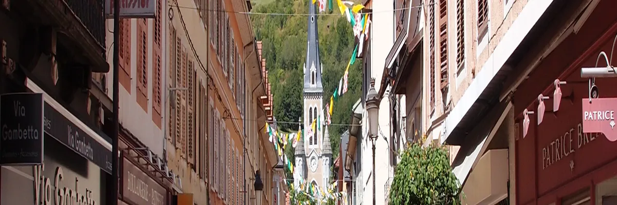 Image Entreprise monte escalier Albertville