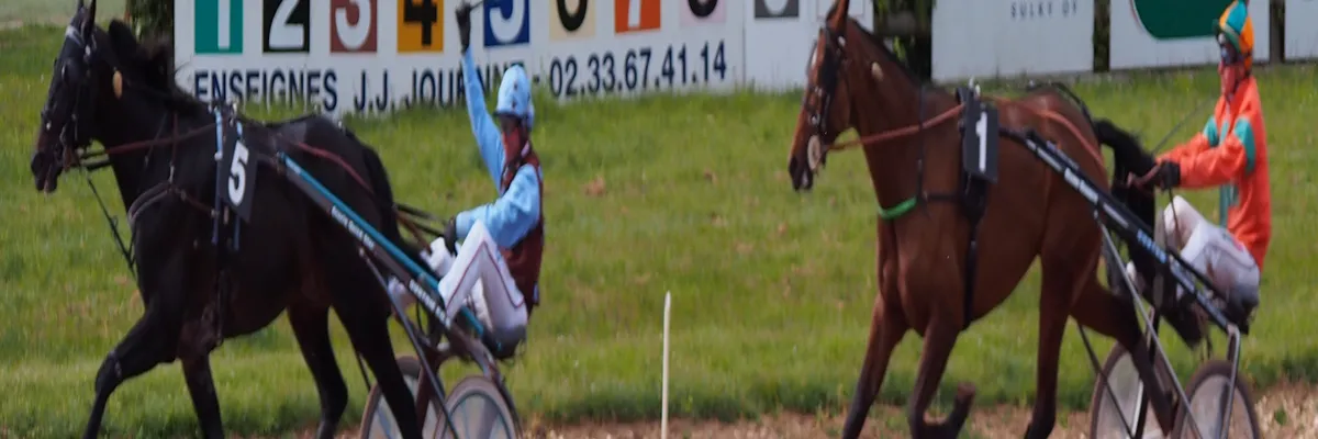 Image Entreprise monte escalier Argentan