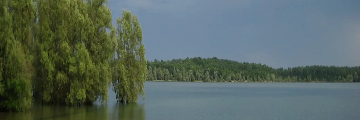 Image Entreprise monte escalier Aube