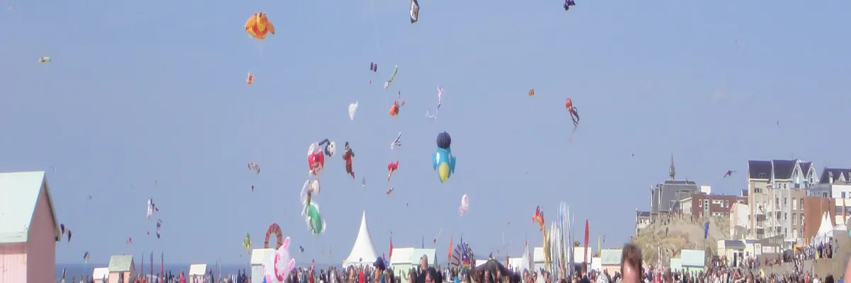 Image Entreprise monte escalier Berck