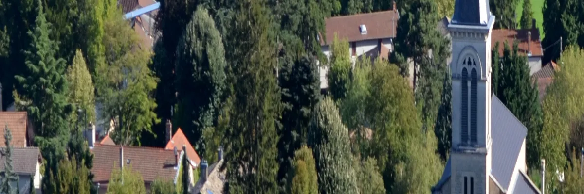 Image Entreprise monte escalier Beynost