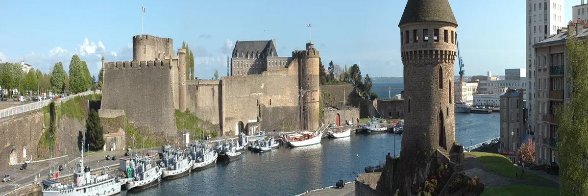 Image Entreprise monte escalier Brest