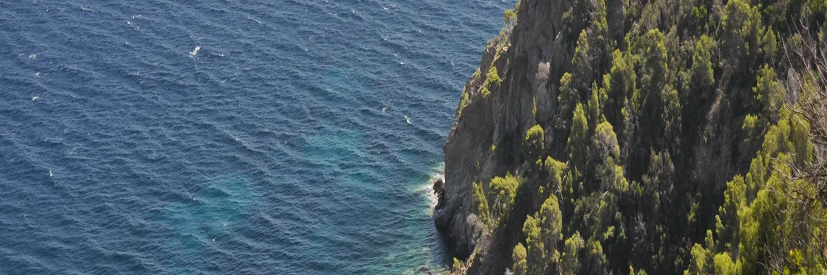 Image Entreprise monte escalier Cavalaire-sur-Mer