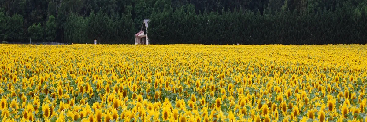 Image Entreprise monte escalier Centre-Val de Loire