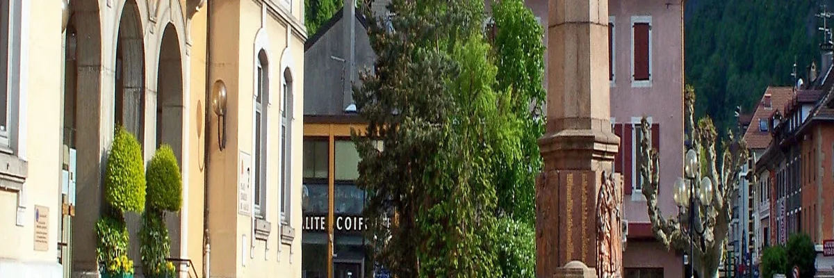 Image Entreprise monte escalier Cluses