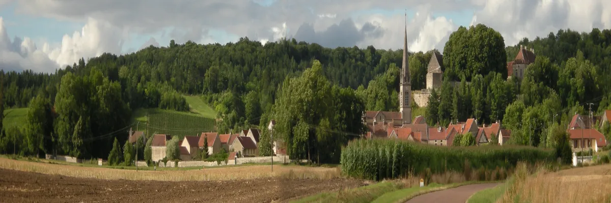 Image Entreprise monte escalier Côte-d'Or