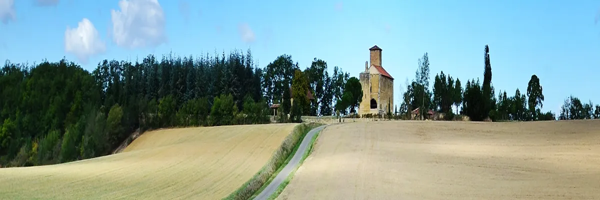 Image Entreprise monte escalier Gers