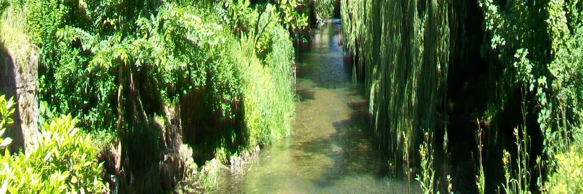 Image Entreprise monte escalier Gouvieux