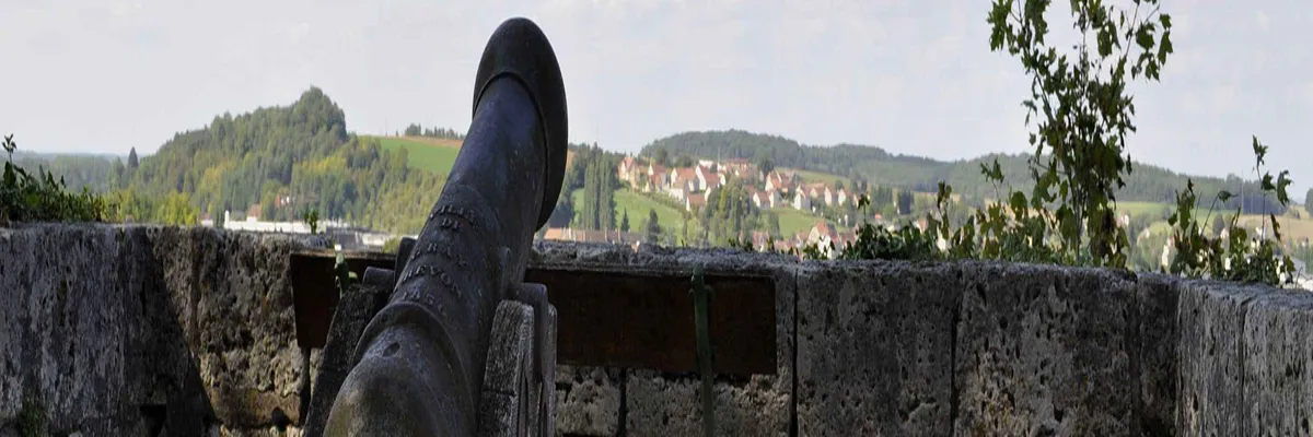 Image Entreprise monte escalier Gray