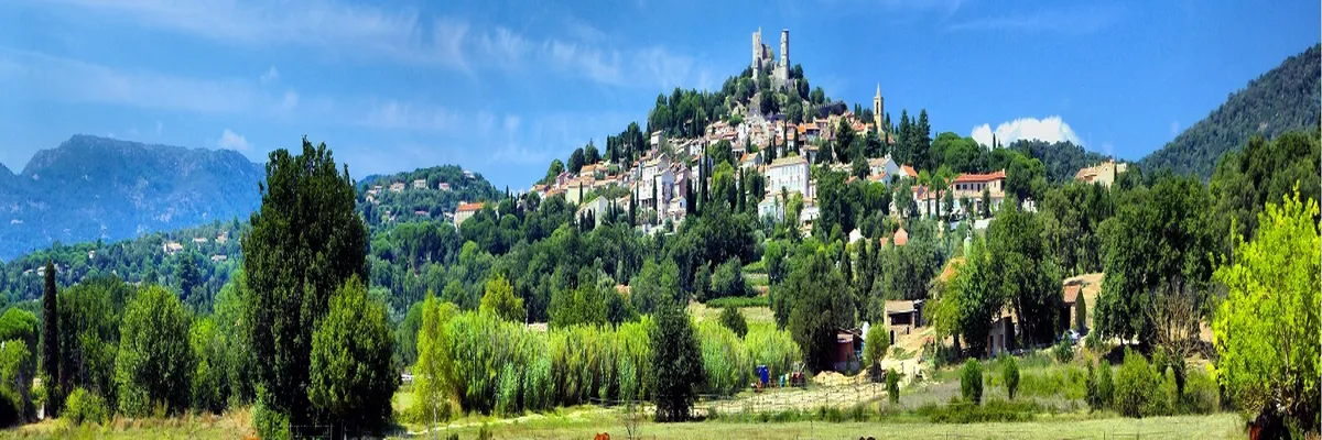 Image Entreprise monte escalier Grimaud