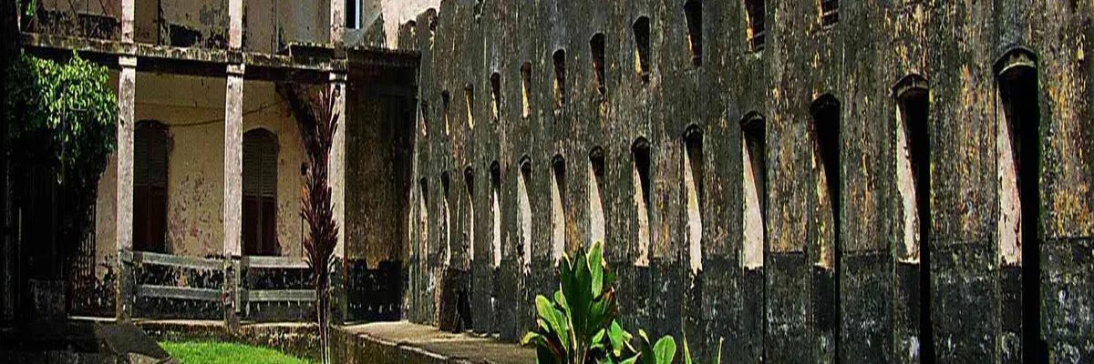 Image Entreprise monte escalier Guyane