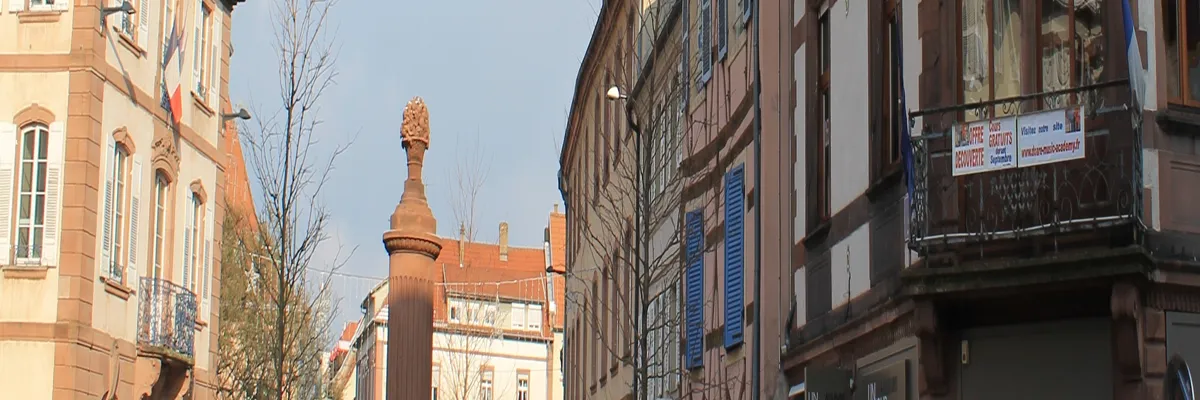 Image Entreprise monte escalier Haguenau