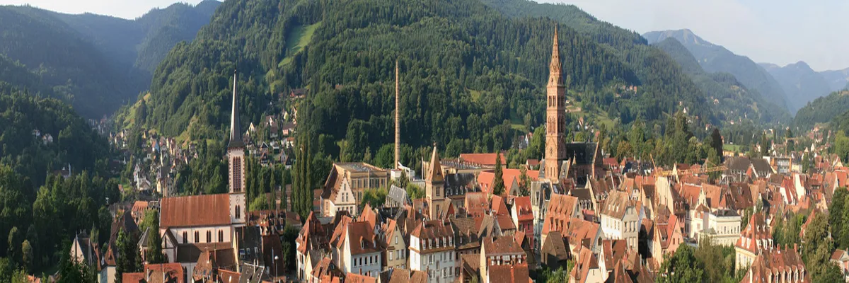 Image Entreprise monte escalier Haut-Rhin