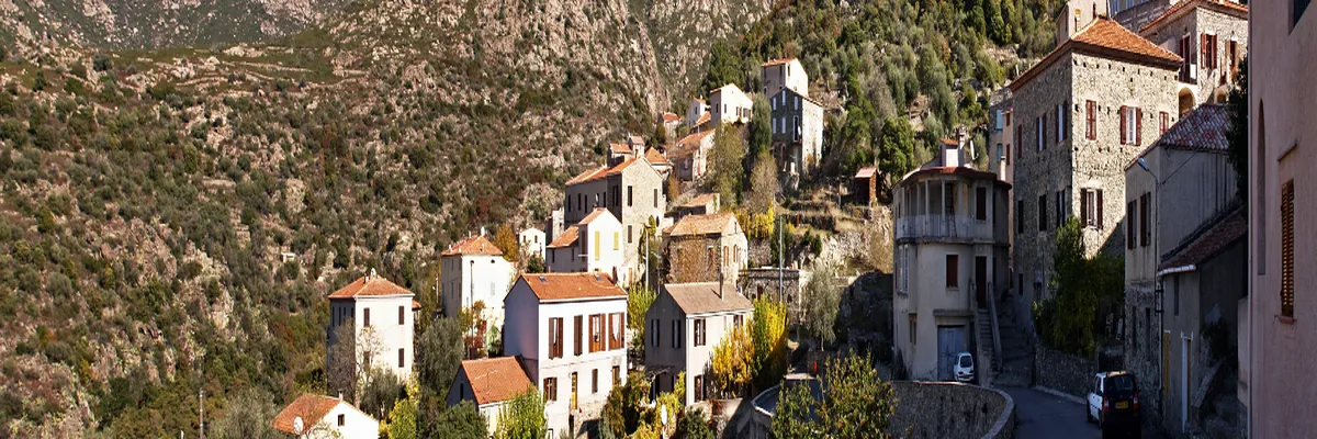 Image Entreprise monte escalier Haute-Corse