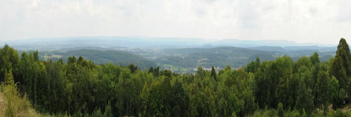 Image Entreprise monte escalier Haute-Saône