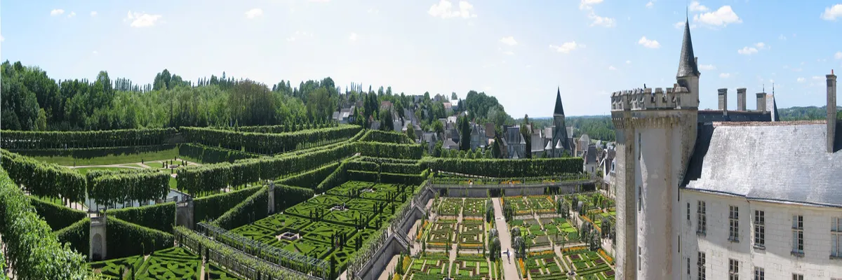 Image Entreprise monte escalier Indre-et-Loire