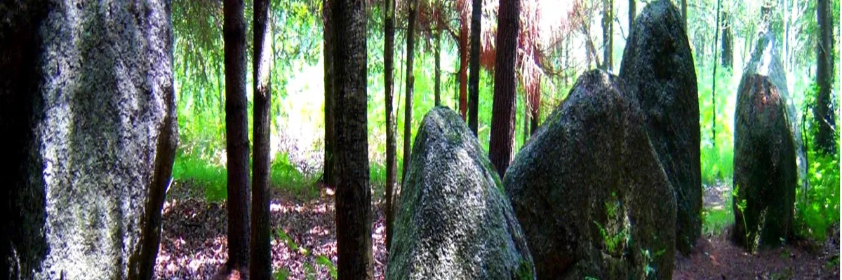 Image Entreprise monte escalier Languidic