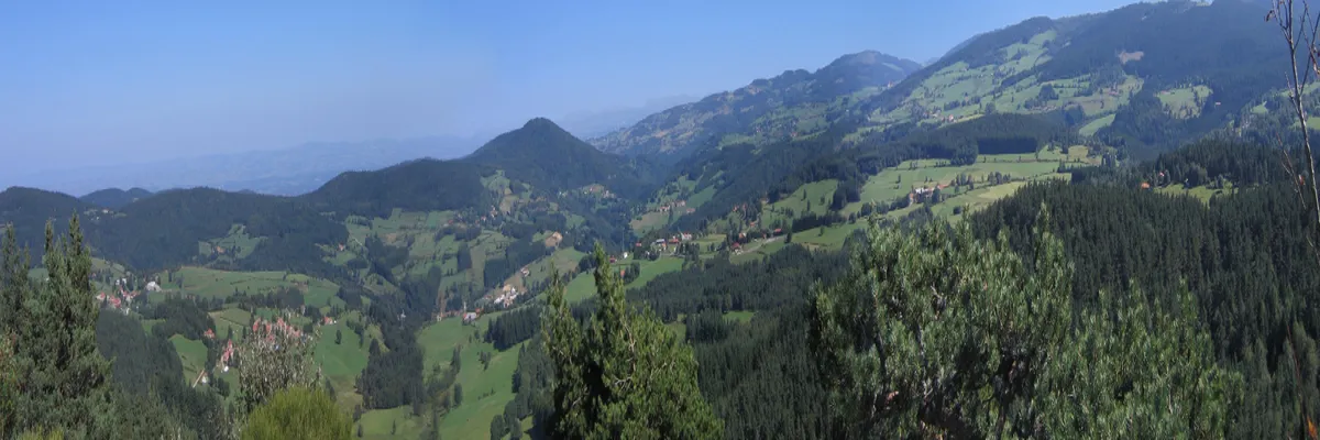 Image Entreprise monte escalier Loire