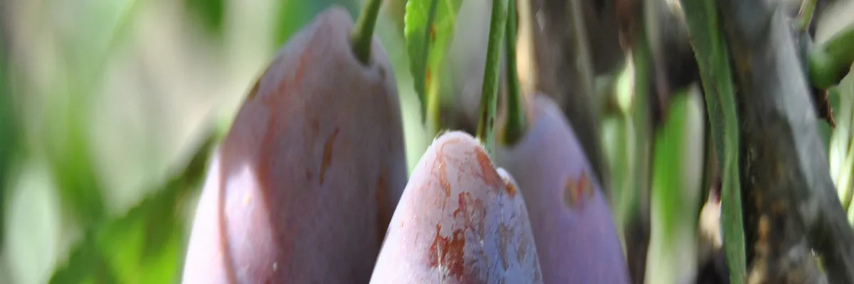 Image Entreprise monte escalier Lot-et-Garonne