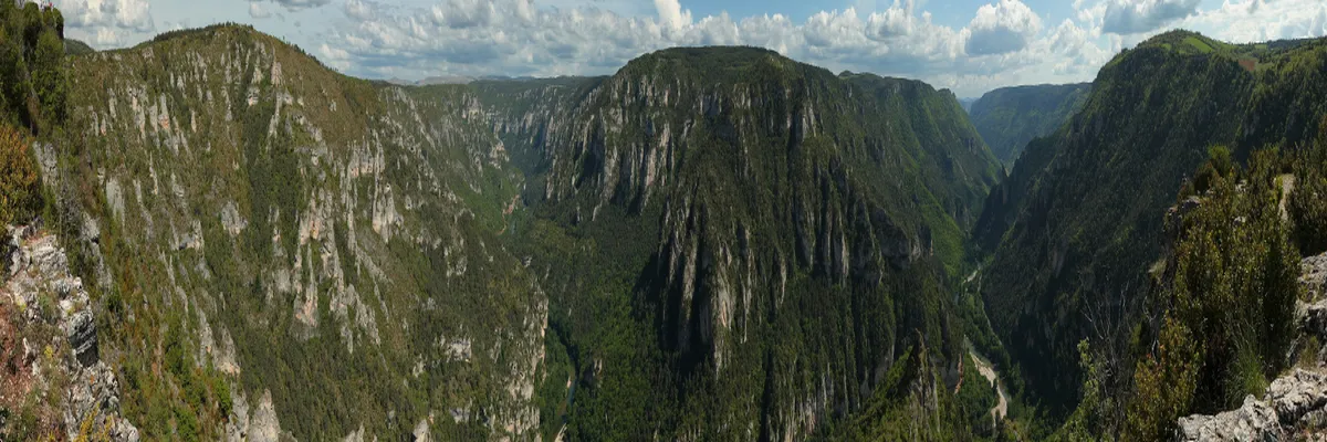 Image Entreprise monte escalier Lozère