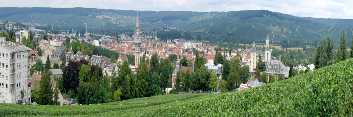 Image Entreprise monte escalier Marne