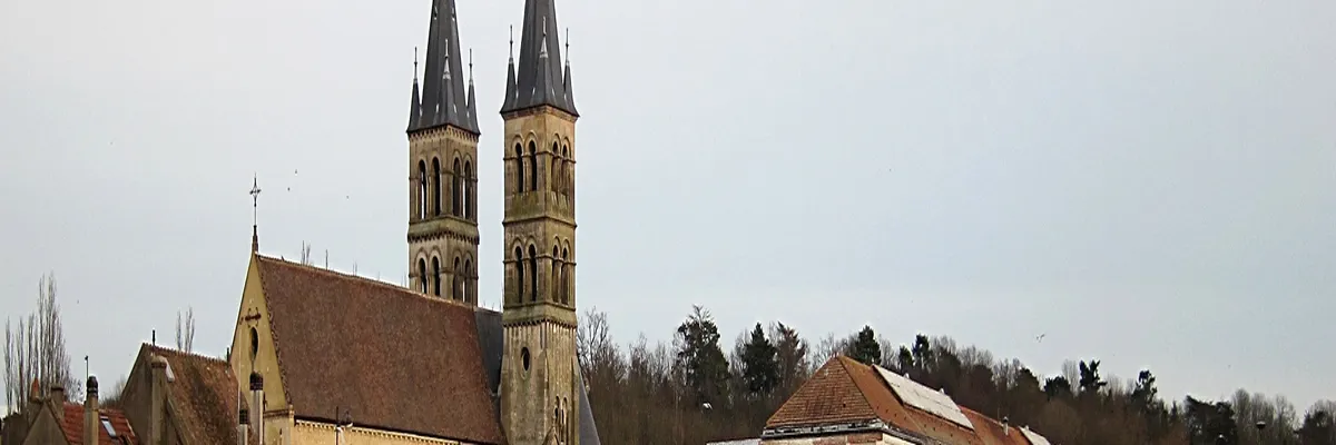 Image Entreprise monte escalier Melun