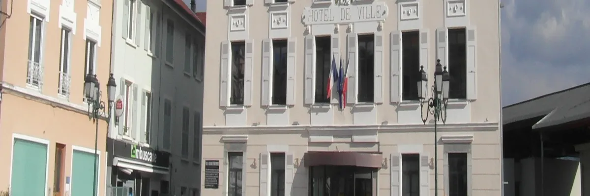 Image Entreprise monte escalier Moirans