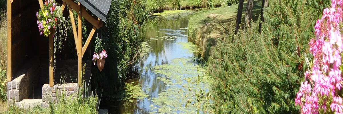 Image Entreprise monte escalier Montfort-sur-Meu