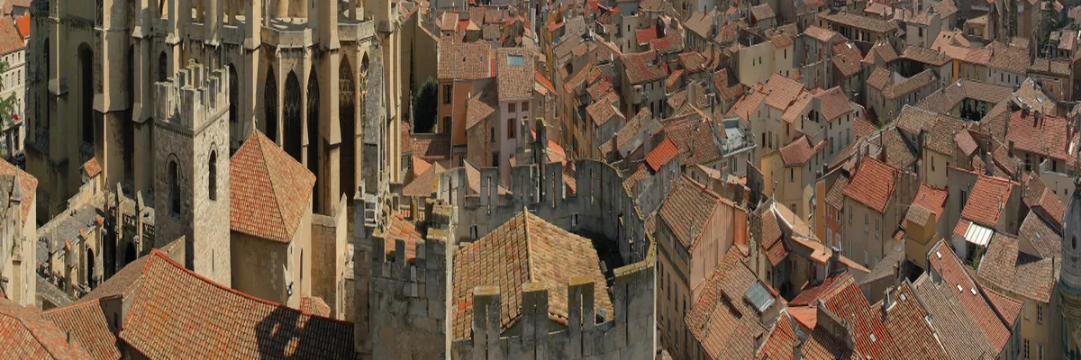 Image Entreprise monte escalier Narbonne