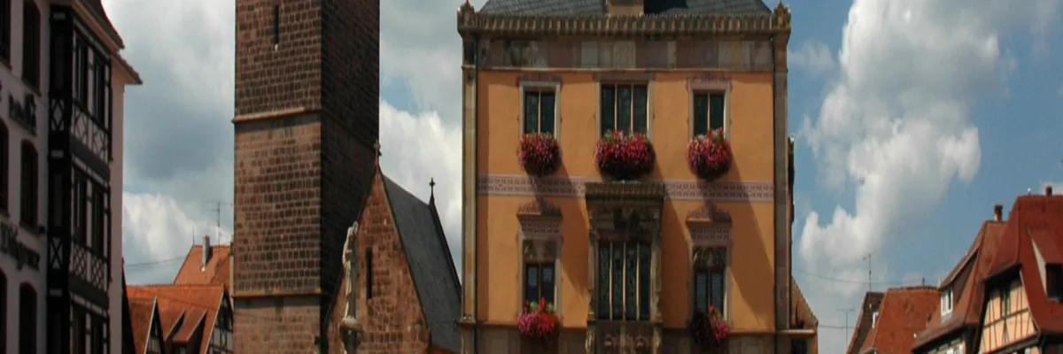 Image Entreprise monte escalier Obernai