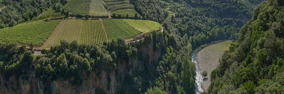 Image Entreprise monte escalier Occitanie