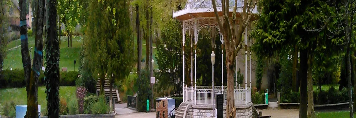 Image Entreprise monte escalier Oyonnax