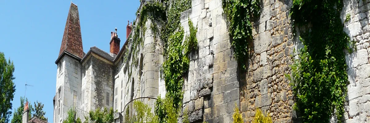 Image Entreprise monte escalier Périgueux