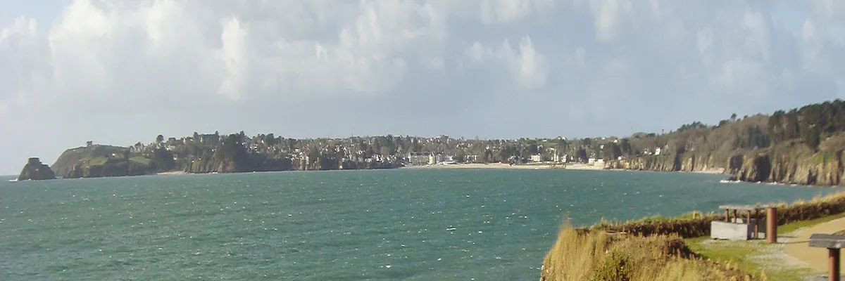 Image Entreprise monte escalier Plougonvelin