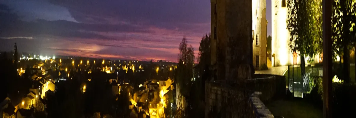 Image Entreprise monte escalier Pons