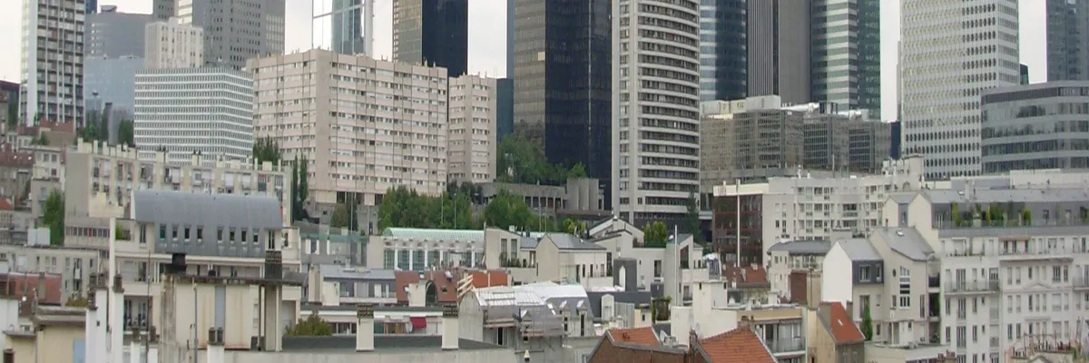 Image Entreprise monte escalier Puteaux