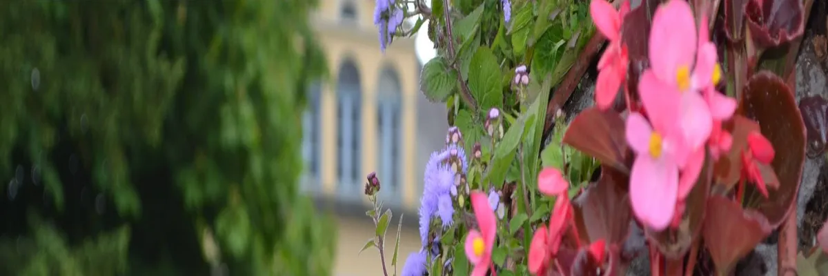 Image Entreprise monte escalier Saint-Étienne-au-Mont