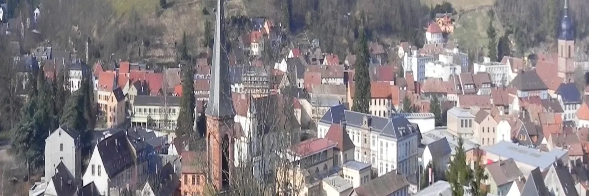 Image Entreprise monte escalier Sainte-Marie-aux-Mines