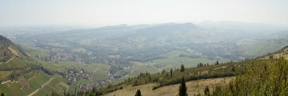 Image Entreprise monte escalier Saône-et-Loire