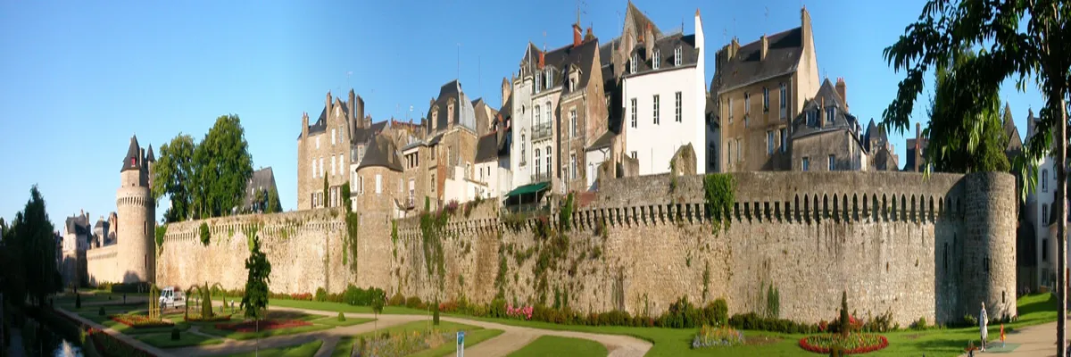 Image Entreprise monte escalier Vannes