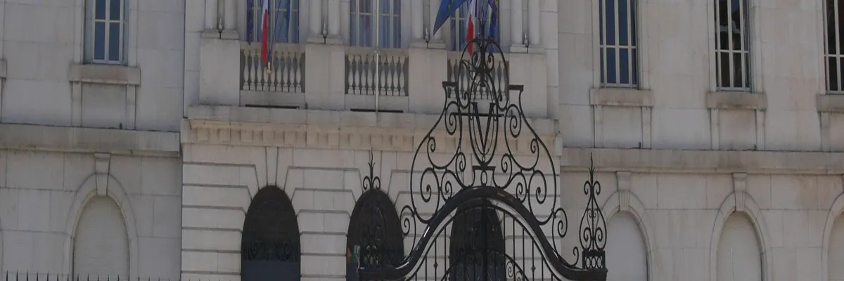 Image Entreprise monte escalier Vesoul