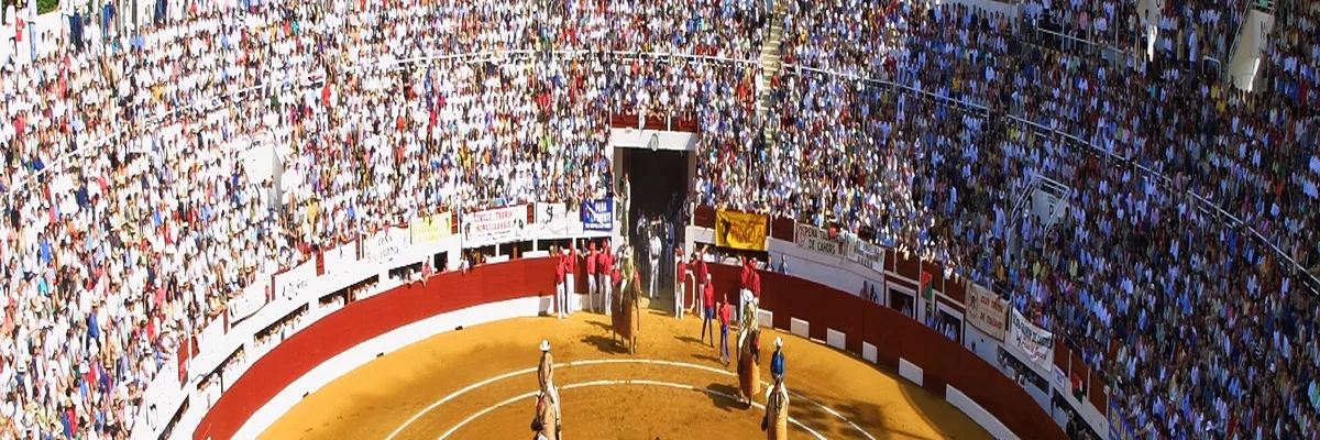 Image Entreprise monte escalier Vic-Fezensac