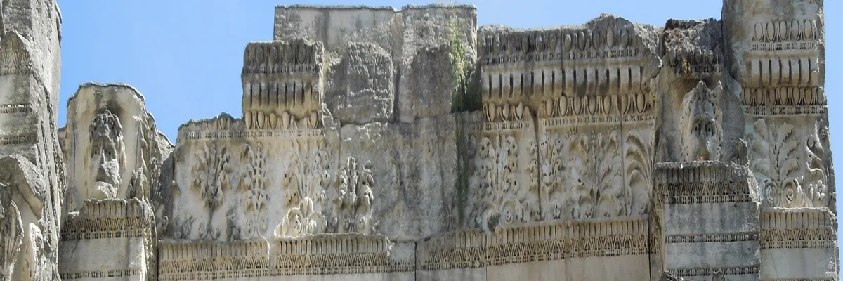 Image Entreprise monte escalier Vienne