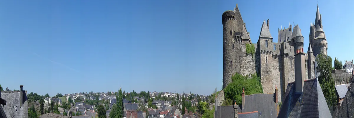 Image Entreprise monte escalier Vitré