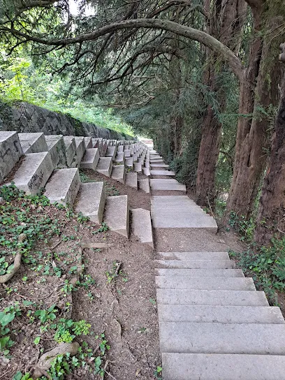 Photo de Escalier des géants 1300 marches jusqu’à la plate-forme
