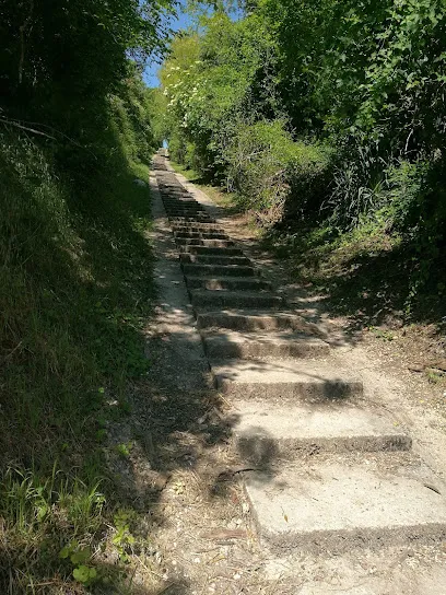 Photo de Escaliers de Crécy à Férolles