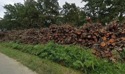 Photo de OsmosO Handicap