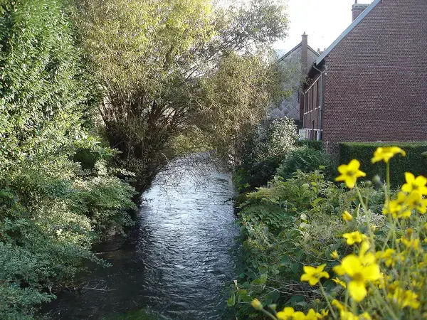 Monte Escalier Entreprise Entreprise monte escalier Déville-lès-Rouen