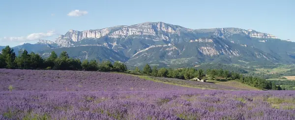 Monte Escalier Entreprise Entreprise monte escalier Drôme