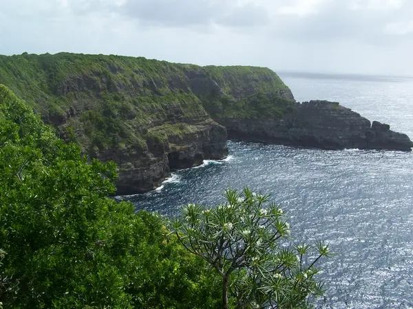 Monte Escalier Entreprise Entreprise monte escalier Guadeloupe